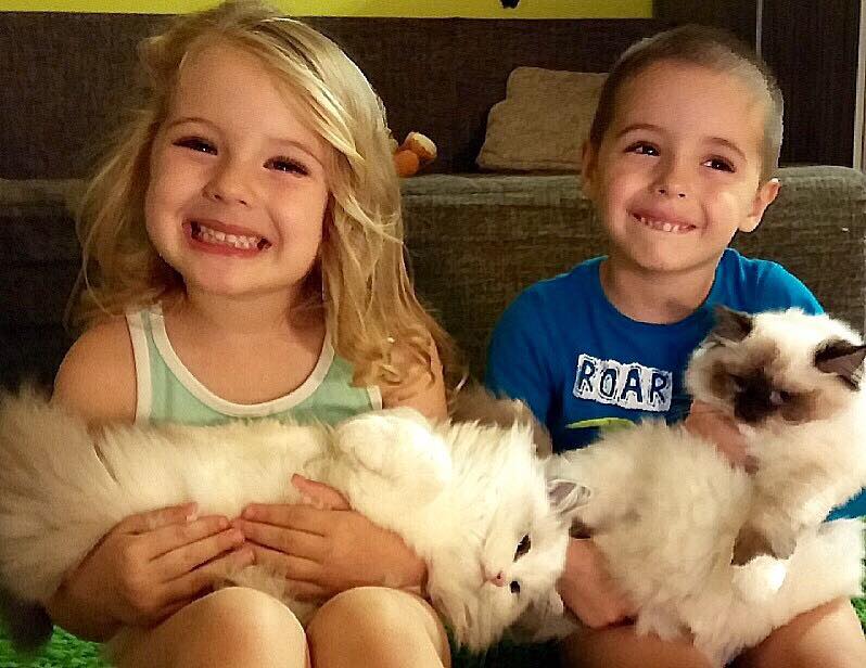 /images/Galeria/Cicák-gyerekek (Cats&Chirldren)/13912416_285124288521939_5701484522153023529_n.jpg